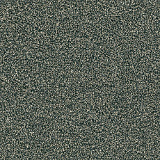 Ковровая плитка Modulyss Force Force 142 фото 1 | FLOORDEALER